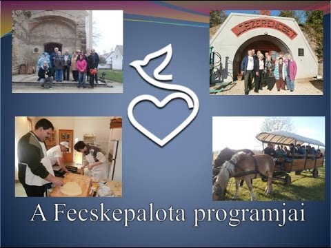 iFecskepalota - Programok 2015